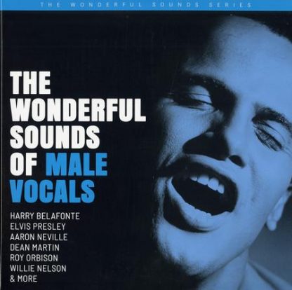 The Wonderful Sounds Of Male Vocals - Various Artists